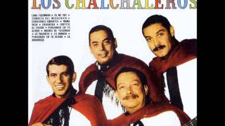 Los Chalchaleros  Engañera [upl. by Drarreg]