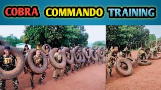 COBRA COMMANDO TRAINING100 COMMANDO CROWD IN TRAININGcobracommando tranding viral indianarmy [upl. by Milburr]