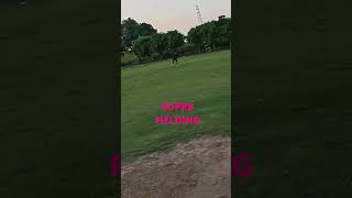 Cricket Fielding vs Misfielding  Jonty Rhodes cricket shots shorts video [upl. by Turley]