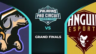 PPC 2020 SUMMER FINALS  GRAND FINALS TEAM PROJECT vs SANGUINE [upl. by Knowling333]