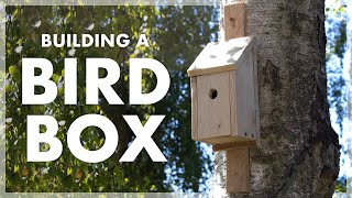 Building a Bird Box  PALLET WOOD PROJECTS [upl. by Enniotna]