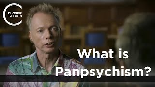 Andy Clark  What is Panpsychism [upl. by Ardnuhsor]