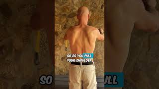 Exercises for Winging Scapula scoliosis wingingscapular [upl. by Sivrep194]