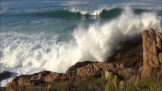 60min ocean waves crashing into rocky shore  sounds of the ocean in stereo  HD [upl. by Airolg]