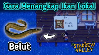 Mancing Belut eel Di Stardew Valley [upl. by Don]