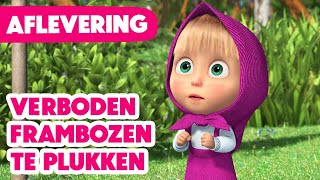 Masha en de Beer 💥 Nieuwe aflevering 2024 💥 Verboden frambozen te plukken 🍓🌾🛑 Aflevering 87 [upl. by Heman]