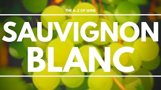 What is SAUVIGNON BLANC  Everything you need to know about this delicious grape [upl. by Dammahom]