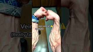 Veiny Forearms Tutorial with Forearm Trainer👑forearms forearmtraining handexercise fitnessshorts [upl. by Cosette52]