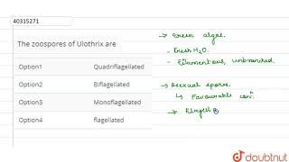 The zoospores of Ulothrix are [upl. by Hnahc]