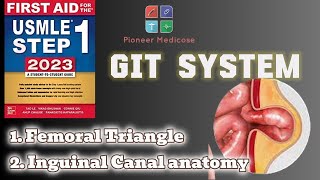 Anatomy of Inguinal Canal femoral triangle from first aid step 1part 8USMLEUrduHindi [upl. by Tnert]