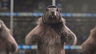 9  9 More marmots doing sports [upl. by Dettmer]