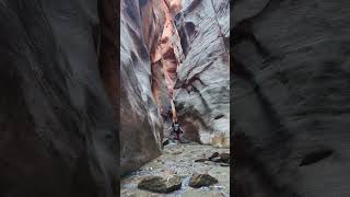 A Hikers Guide to Kanarra Falls Trail in Utah Shorts Hiking [upl. by Tubb]