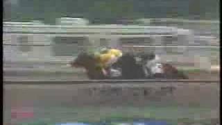 1988 Preakness Stakes [upl. by Asor]