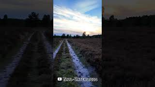 Weseler Heide zwischen Undeloh und Wesel am 29092024 lüneburgerheide abendstimmung heide [upl. by Oicnecserc837]