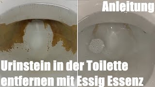 Urinstein in der Toilette entfernen mit Essig Essenz Anleitung [upl. by Dianemarie]