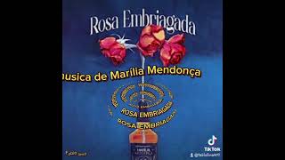 ROSA EMBRIAGADA foryou musica viralvideo mariliamendonça shorts short homenagem marilia [upl. by Acinemod]