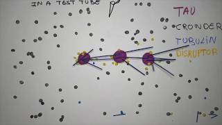 Microtubule nucleation through phase separation [upl. by Eelrihs]