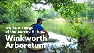 Winkworth Arboretum  Stunning lake woodlands and walks on edge of the Surrey Hills [upl. by Revlis]