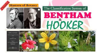 Bentham amp Hooker Classification System  Genera Plantarum  Natural Classification System  Detailed [upl. by Dhumma726]