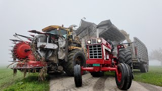 CASE IH 1066 🇨🇭 beim Maistransport 🌽 SOUND ON mit Bunkerhäcksler und Maispresse [upl. by Seitz]