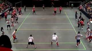 Canada vs USA  Mens Final  Dodgeball World Championship 2014  1st Half [upl. by Leonerd]