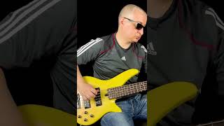 Pantera  Domination breakdown pantera bassboosted bassccover metalbass songcover bassheads [upl. by Ynnel]