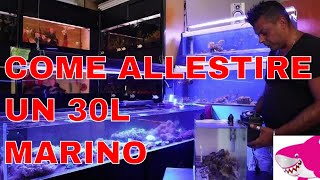 ALLESTIRE ACQUARIO MARINO 30 LITRI by Tropicalmania [upl. by Leuqar]