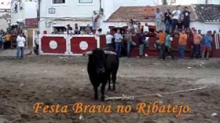 Azambuja  Feira de Maio 2009 Largada de Toiros  Dia 1 Junho [upl. by Dhiren]