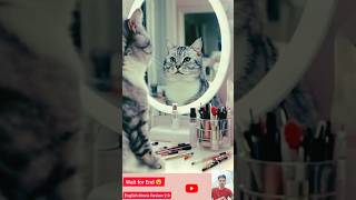 Tutorial de maquillaje Meowtastic para amantes de los gatos😻💄shorts fluffy marapetsmonsterpets [upl. by Nagaem396]