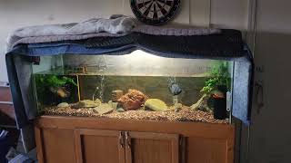 125 Gallon Fish Tank [upl. by Cassella]