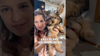 How to housebreak a puppy in less than 7 days puppytraining [upl. by Albertson]