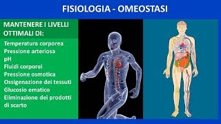 Fisiologia biologia omeostasi [upl. by Ruckman]