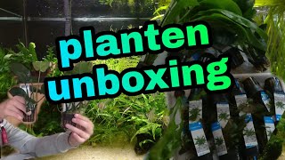 Grote AQUARIUMPLANTEN UNBOXING Nickey [upl. by Carli]