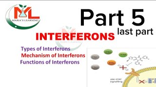 Interferons Types of interferon Mechanism of Interferons  Functions of Interferons  Immunology [upl. by Amory]