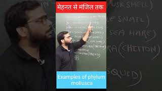 Trick to learn examples of phylum mollusca  Govind yadav  NEET 2025  Shorts [upl. by Laflam468]