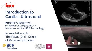 IMV imaging cardiac ultrasound video 1  Introduction to performing an echo [upl. by Downing]