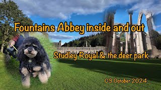 Visit Fountains Abbey Studley Royal and have a look inside the abbey with Ruby [upl. by Nieberg]