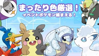 【ポケモンSV】イベントポケモンまったり厳選していく！！まったり厳選！ [upl. by Gnak]