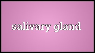 Salivary gland Meaning [upl. by Dirgis688]