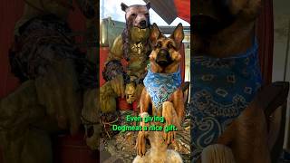 Erickson and Dogmeat’s Unique Interaction in Fallout 4 [upl. by Till942]