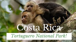 Costa Rica  Tortuguero National Park Boat Tour [upl. by Eastman16]