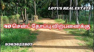 40 சென்ட் தோப்பு விற்பனைக்கு [upl. by Adena]