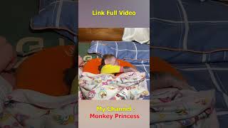 Monkey NANA poops while sleeping monkey smartmonkey shorts babymonkey monkeydluffy monkeylove [upl. by Adlay]