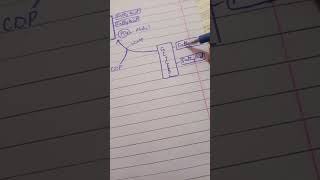 Phospholipid Synthesis  Glycerophospholipid  Chapter 17 Lippincott Part 2 [upl. by Weld409]