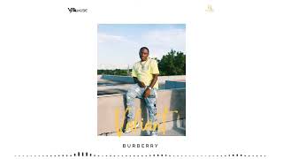 VALIANT DYNASTY  BURBERRY AUDIO [upl. by Elletnuahc]