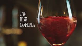 Elisir Gambrinus Spritz  La ricetta [upl. by Ludba611]