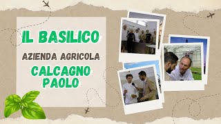 IL BASILICO  Calcagno Paolo Azienda Agricola Erga Edizioni [upl. by Theodor]