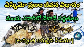 ఎస్కిమో ప్రజల వేటాడే విధానం  ESKIMO HUNTING  klknowledgehub8821 [upl. by Sumner123]