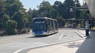 Brisbane Metro buses running route 169 HESS lightram [upl. by Emmons91]