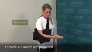 Forearm Supination and Pronation [upl. by Ontina750]